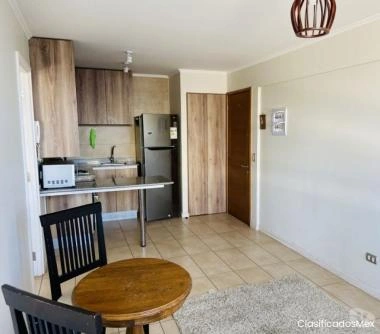 Arriendo Departamento 1 Dormitorio, Sector Estadio