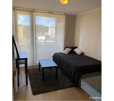 Arriendo Depto. Amoblado 1 Dorm. Sector Centro