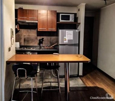 Arriendo dpto frente a Parque forestal