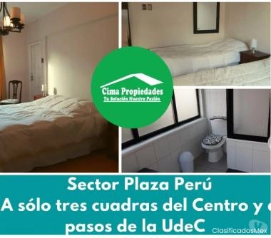Arriendo Propiedad, Consulta, Oficina o Taller, Barrio Unive