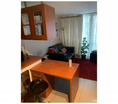 Bello Departamento Amoblado. Salas entre Barros y Ohiggins