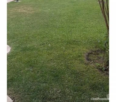 DEPARTAMENTO AMOBLADO, EN ARRIENDO.