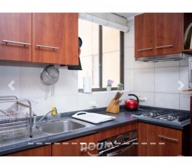 DEPTO 1D1B STGO CENTRO