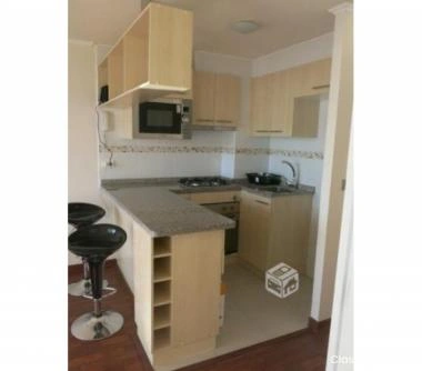 Depto AMOBLADO Calle Limache