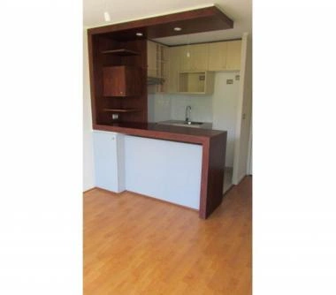 Depto en San Isidro Stgo.