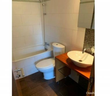 Se Arrienda Dep 1D1B Amoblado Providencia (Metro Pedro de Va