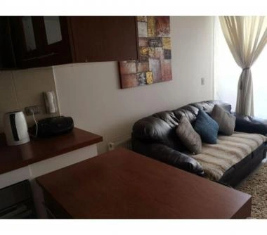 Amoblado de 1 dormitorio en Salas 445.