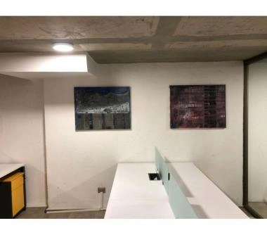 Año 2019 Los Leones Pocuro