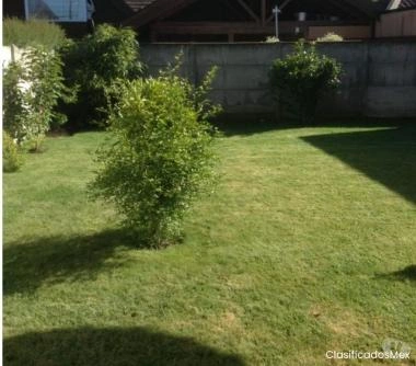 Arriendo Casa en Temuco, A 542-600-LR-06.20