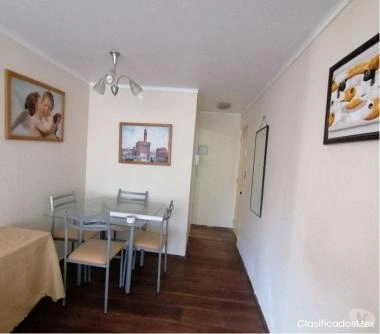 Arriendo Depto. Amueblado, Precio, Incluye G. Comunes. Viña