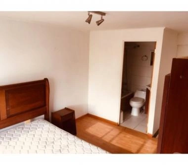 Arriendo depto tipo Loft pequeño, pleno Céntro