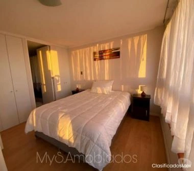 ARRIENDO DIARIO DEPARTAMENTO AMOBLADO