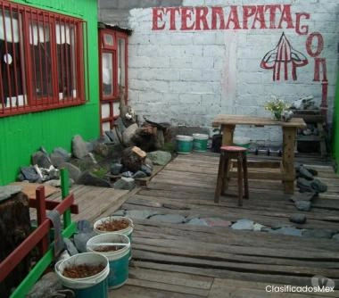 Arriendo local comercial con o sin vivienda.