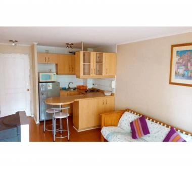 BONITO DEPARTAMENTO AL LADO DE METRO U DE CHILE