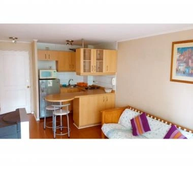 BONITO DEPARTAMENTO AMOBLADO METRO U DE CHILE