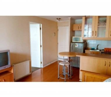 BONITO DEPARTAMENTO METRO UNIVERSIDAD DE CHILE