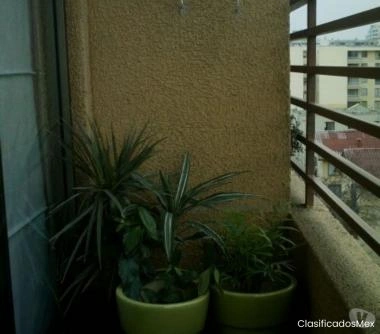 Departamento 1 dormitorio, con bodega. Semi amoblado