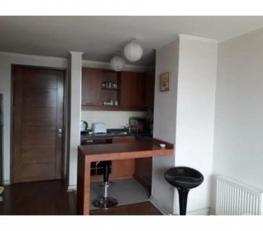 DEPARTAMENTO AMOBLADO 1D 1B TERRAZA, CENTRO