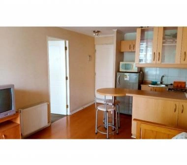 DEPARTAMENTO METRO UNIVERSIDAD DE CHILE