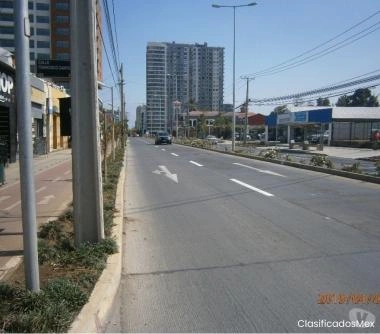 En Avenida Membrillar