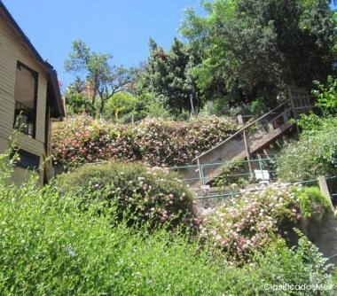 habitaciones casona plan cerro alegre pasos plaza sotomayor