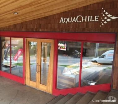 Local comercial centro Pto Varas.