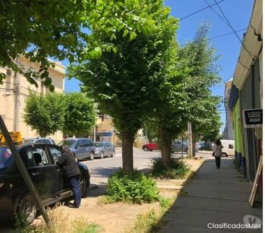 Local comercial en arriendo, calle Cancha, Viña del Mar