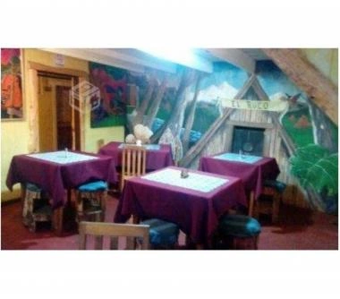 Local Comercial-Pub, Temuco V 1078