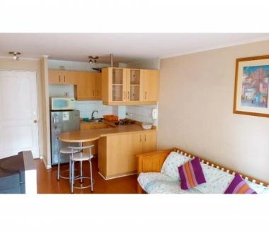 METRO U DE CHILE. Departamento 1 DORMITORIO AMOBLADO