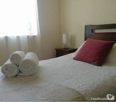 Piezas amobladas mensual para profesionales