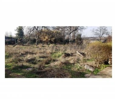 Propiedad Industrial en La Pintana