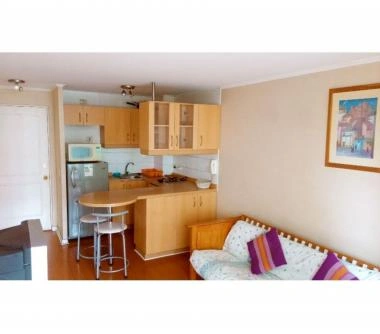 Se arrienda MUY BONITO DEPARTAMENTO AMOBLADO SANTIAGO CENTRO