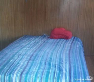 Se arrienda pieza amoblada con todos los gatos incluido