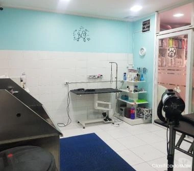 VETERINARIA, TIENDA DE MASCOTAS PROVIDENCIA $ 32.000.000