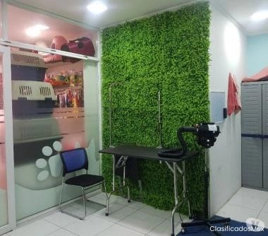 VETERINARIA, TIENDA DE MASCOTAS, PROVIDENCIA $ 32.000.000