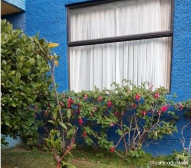 Viña del Mar, Reñaca, Venta departamento 2d 1b Balmaceda