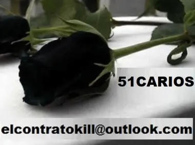 Servicio limpieza 51cario profesional