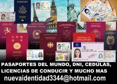 Pasaportes, DNI, licencias de conducir y mas