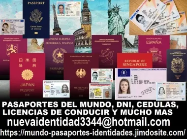 Pasaportes, DNI, licencias de conducir y mas